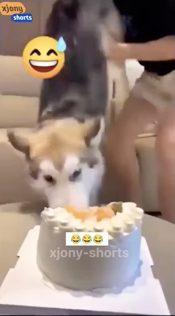 ��� ���� ����� ����������� - 2