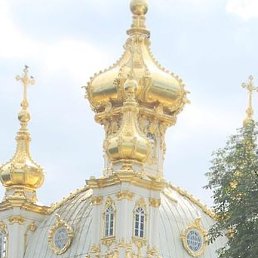 ���������, ���������, 49 ���