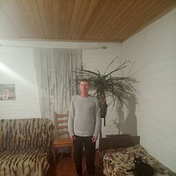 ���������, 48 ���, �������