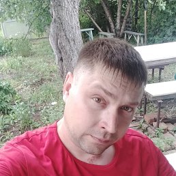 ������, ������, 37 ���