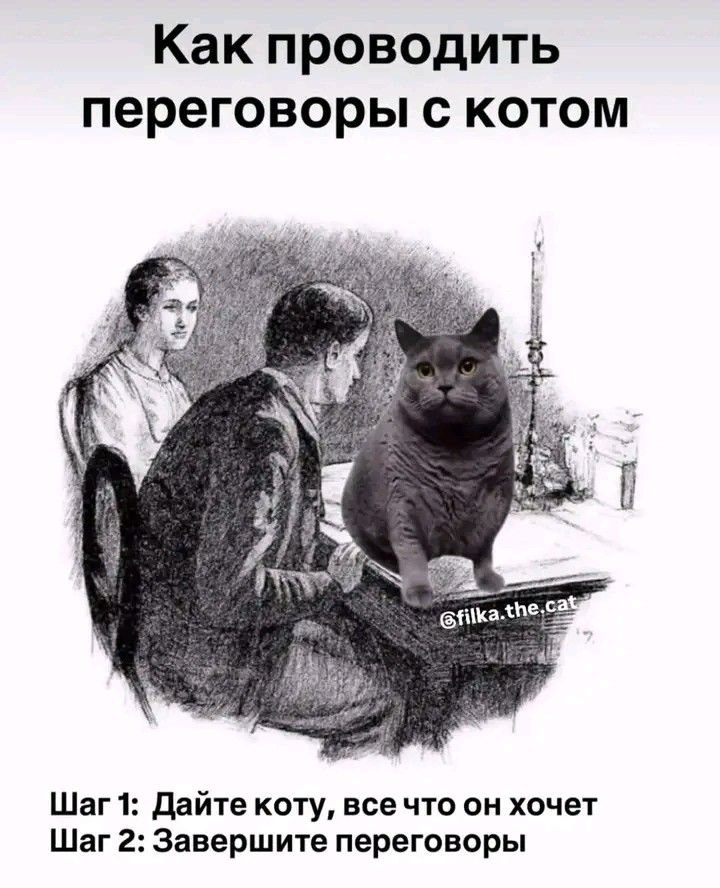 ������������� ���� - 13 ����� 2026 � 23:01