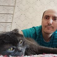 ������, 46 ���, �������