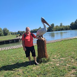 ���� Vladimir, �������, 68 ��� - ��������� 22 ������� 2025