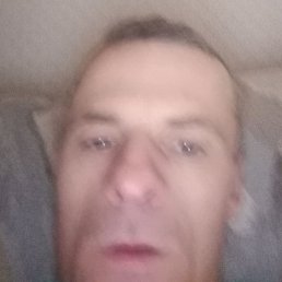 ����, ������, 41 ���