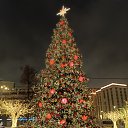 ���� ��������, ������, 53 ���� - ��������� 28 ������� 2025 � ������ ���� ����������