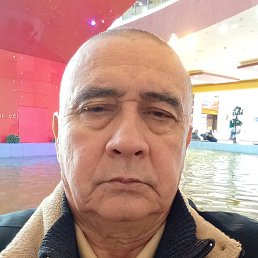 ����, ������, 66 ���