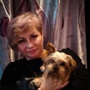 ���� �����, �������� - ��������� 8 ���� 2025 � ������ ���� ����������