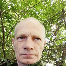 , 51, --11