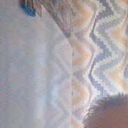 ���������, 44 ����, ������