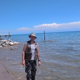 �����, ������, 40 ���