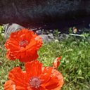 ���� ������, ��������������, 53 ���� - ��������� 30 ���� 2025 � ������ �����