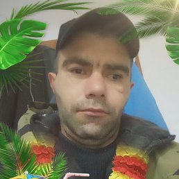 �������, 33 ����, ���������
