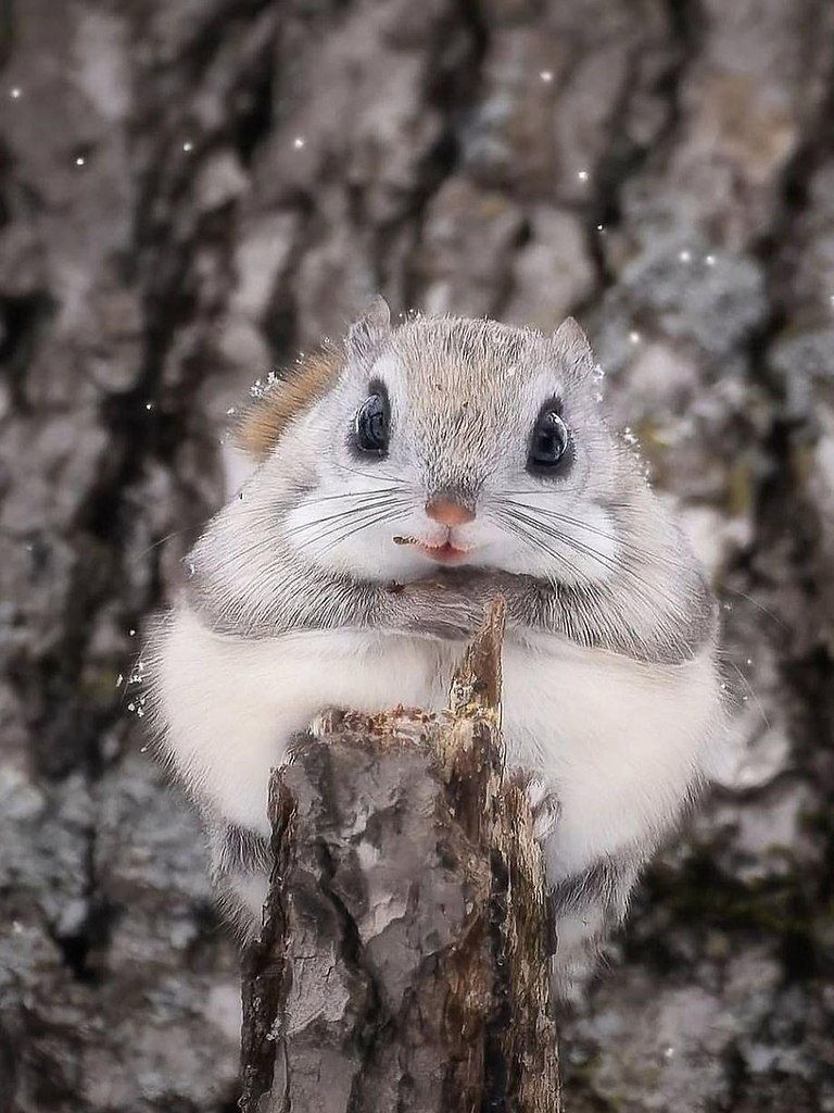  :  -     .    ... - 3