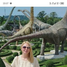 �����, ������ ��������, 45 ���