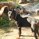 ���� Kostya, �����-��������� - ��������� 1 ���� 2025 � ������ ���� ����������