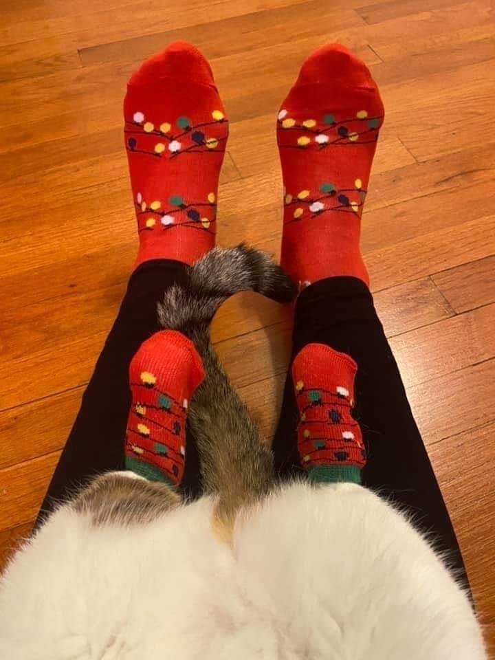 ����� ���������� ����������