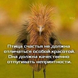 �����, ����, 73 ����