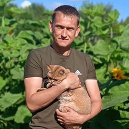 ���� �������, �����, 43 ���� - ��������� 7 ������� 2024