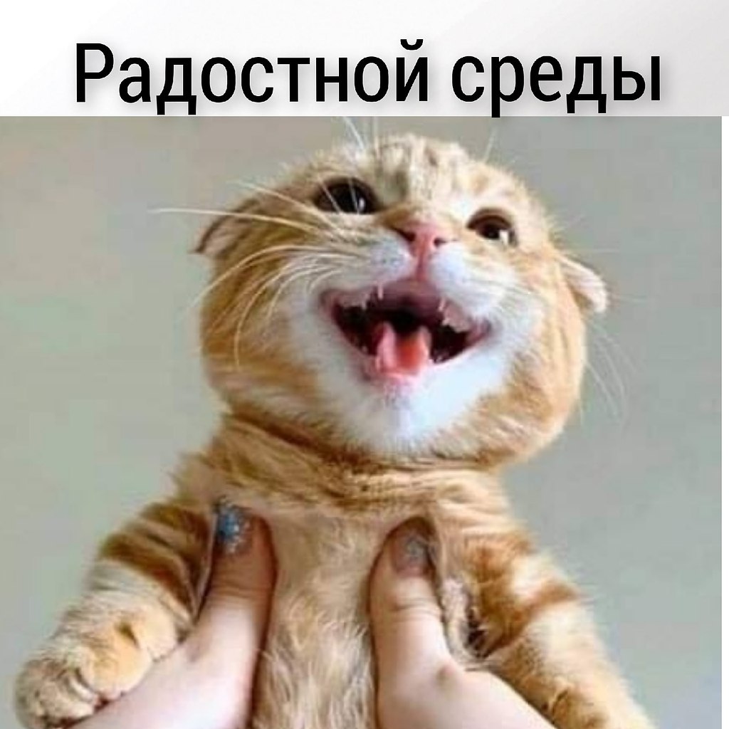       - 10  2025  11:13 - 3