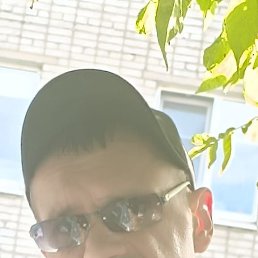 , 44, 