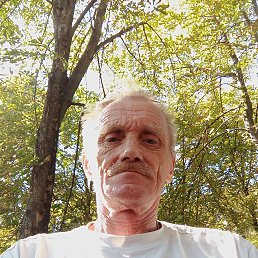 , 53, 