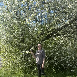 , 33, 