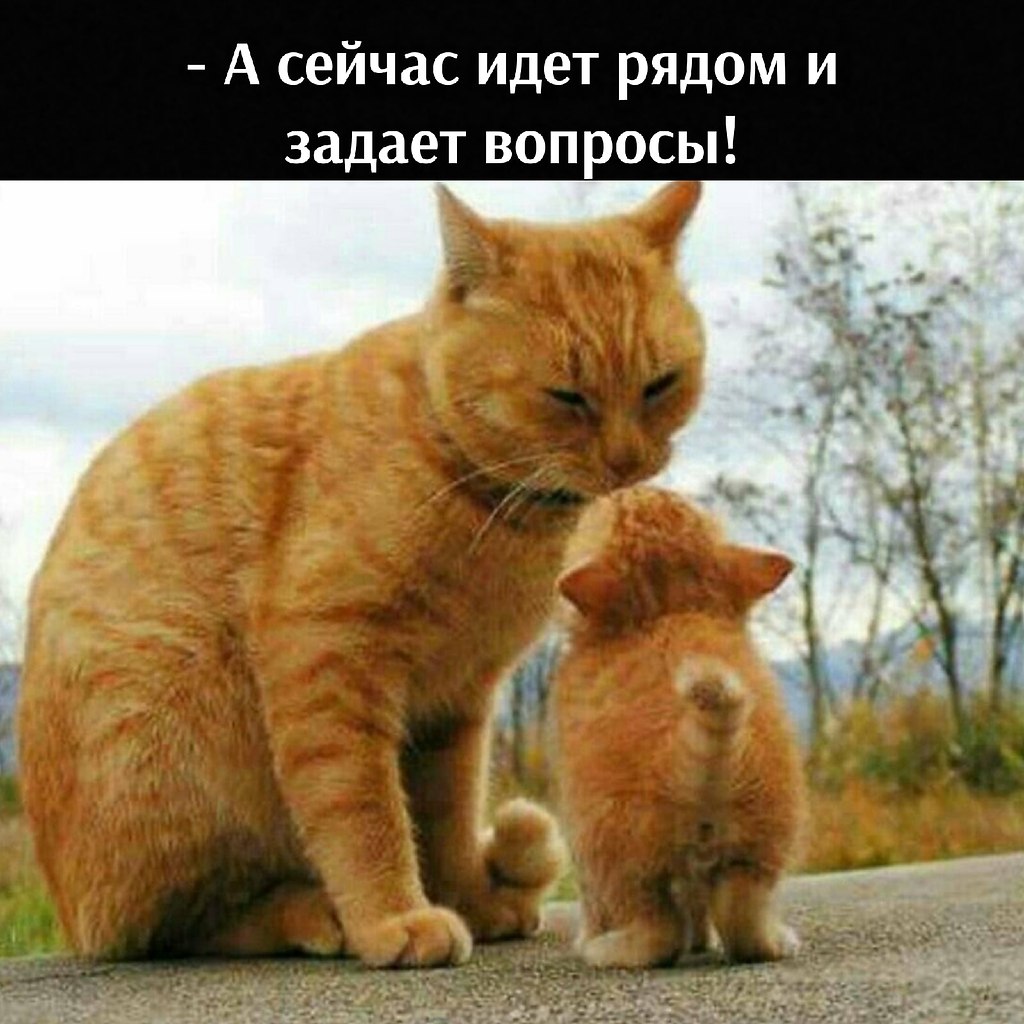       - 6  2025  12:32 - 4