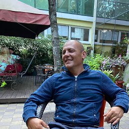 ���� �����, ����, 41 ��� - ��������� 17 ���� 2024