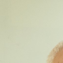 �����, ������, 55 ���