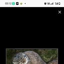 ���� ����, �����-���������, 37 ��� - ��������� 20 ������� 2026