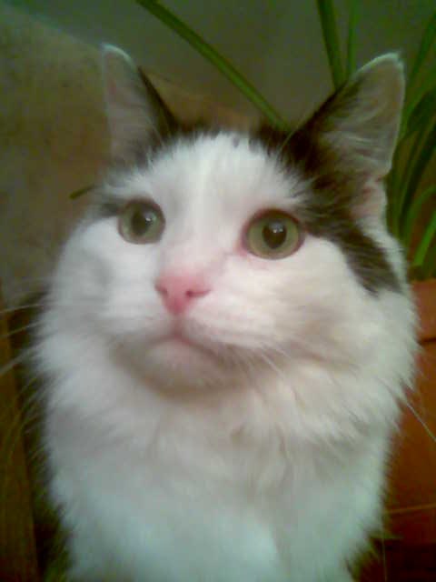 August - 21  2025  21:04