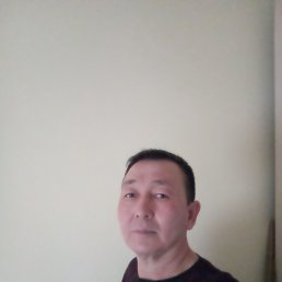 , 52, 