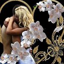 ���� Mohammed, ���� - ��������� 7 ������� 2026 � ������ ������ ��������