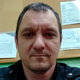 ��������, �������, 46 ���