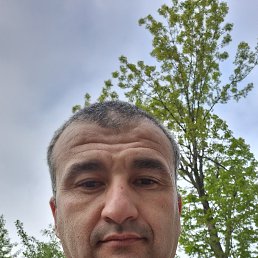 , 40 , 