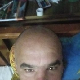 , 41, 