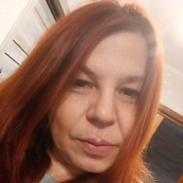 �����, 41 ���, ������