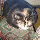 ���� ���, �������, 50 ��� - ��������� 15 ������� 2025