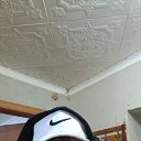 ���� ���������, ������, 43 ���� - ��������� 26 �������� 2026 � ������ ���� ����������