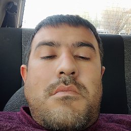 ������, �������, 37 ���