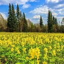 ���� ������, ������� - ��������� 9 ������ 2024 � ������ ������ ��������