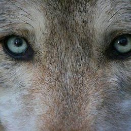 ���� ������, ����, 50 ��� - ��������� 5 ������ 2026