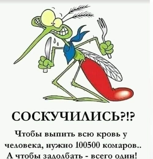 �� ����� ������! - 6 ���� 2026 � 06:39