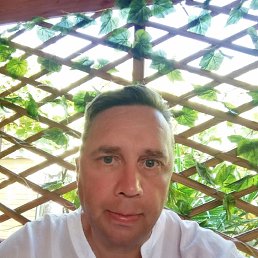 ���������, 49 ���, ������������