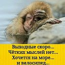 ���� �������, ������ �������� - ��������� 11 ����� 2026 � ������ ������ ��������