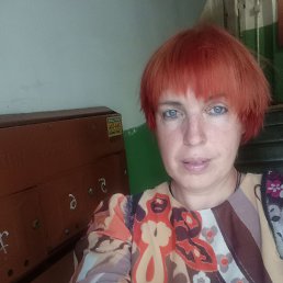 , 37, 