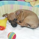 ���� �����, �������, 27 ��� - ��������� 15 ������ 2026 � ������ ���� ����������