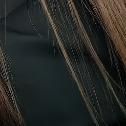 �����, ������, 35 ���