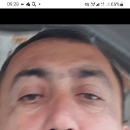 , 54, 