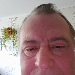 , 53, 